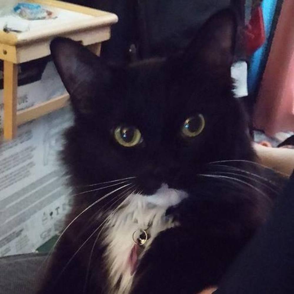 Meet your Posher, Jakki